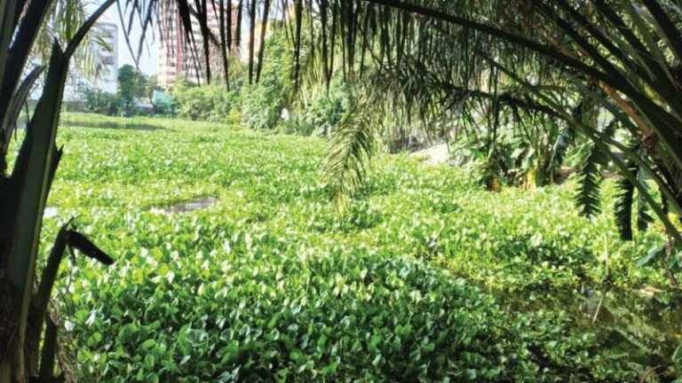 ২৫ হাজার মানুষের পানির একমাত্র অবলম্বন এখন একটি খাল যা এখন ভূমিদস্যুদের দখলে