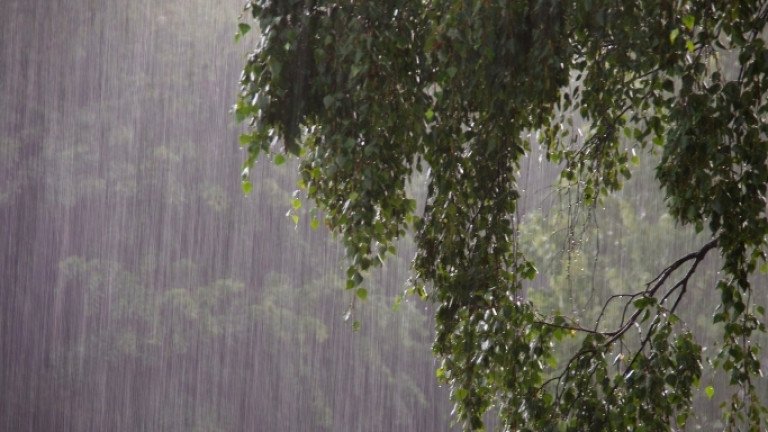 সিলেটে ৬০ কিমি বেগে দমকা হাওয়ার শঙ্কা, বজ্রসহ বৃষ্টির পূর্বাভাস