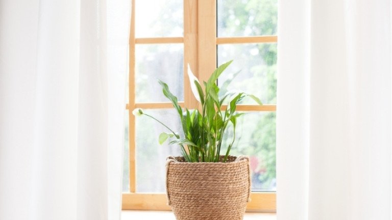 এসি ছাড়াই গরমে ঘর ঠান্ডা রাখার সহজ উপায়