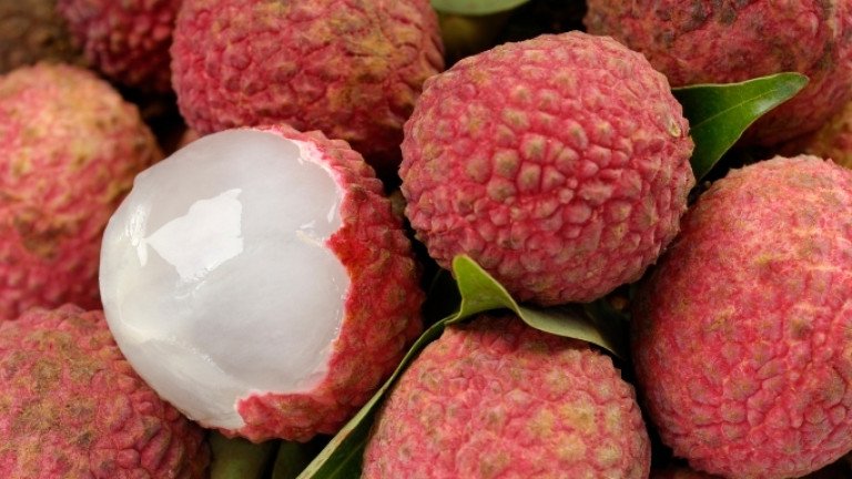 বিষমুক্ত ও মিষ্টি লিচু চিনবেন যেভাবে