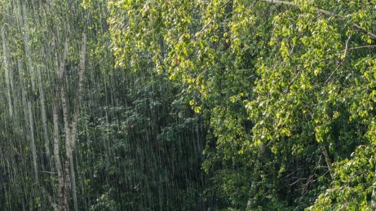 চার বিভাগে অতি ভারি বর্ষণের পূর্বাভাস, কমতে পারে দিনের তাপমাত্রা