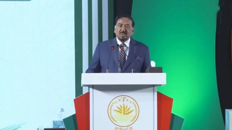 'আবু সাঈদের ছবি ছাড়া সেটি কোনো ডকুমেন্টারি নয়'- হাফিজ উদ্দিন