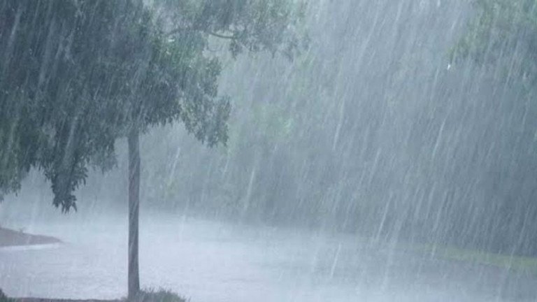 বঙ্গোপসাগরে লঘুচাপ, ৪ সমুদ্রবন্দরে ৩ নম্বর সতর্ক সংকেত