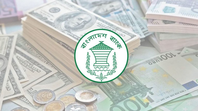 সেপ্টেম্বরে ১৯ দিনে দেশে রেমিট্যান্স ১৮৭ কোটি ৭০ লাখ ডলার